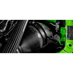 Eventuri BMW F80/F82/F83 M3 / M4 Kit di Aspirazione in Carbonio V2