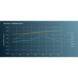 Pastiglie freno PAGID RACING RST 2