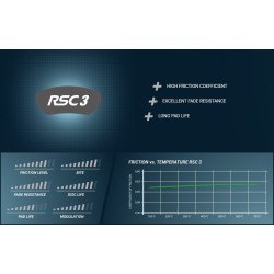 Pastiglie freno PAGID RACING RSC 3