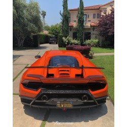 Lamborghini Huracan Performante LP640-4 (17-)  - Valvetronic FI Exhaust