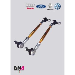 Ford Fiesta Mk7 (08-17)-DNA Racing Pro Street adjustable sway bar tie rods kit