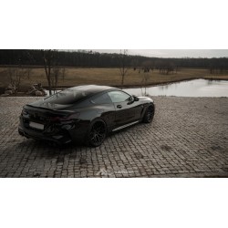 BMW F91/F92/F93 M8 - Valvetronic FI Exhaust