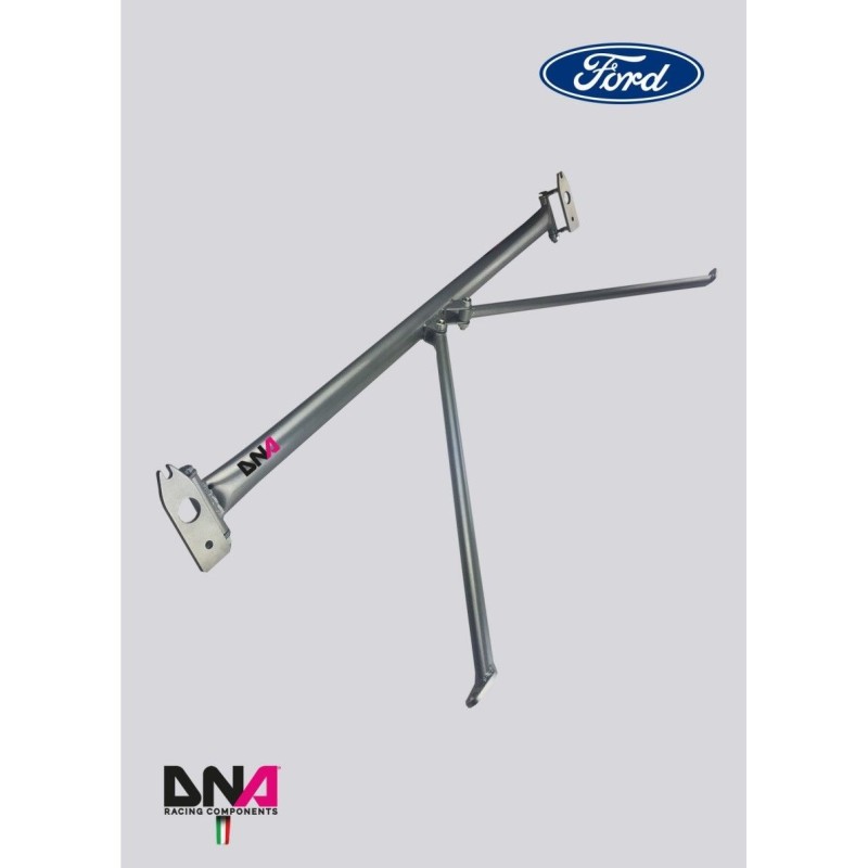 Ford Fiesta Mk7 (08-17)-DNA Racing rear strut bar with tie rods kit