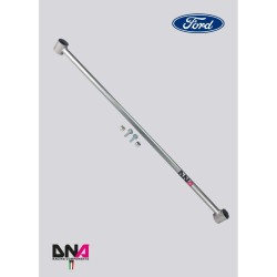 Ford Fiesta Mk7 (08-17)-DNA Racing rear axle stiffening bar spring steel ø 20mm kit