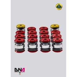 Lotus Elise/Exige L4-DNA Racing standard suspension arms uniball kit (complete)