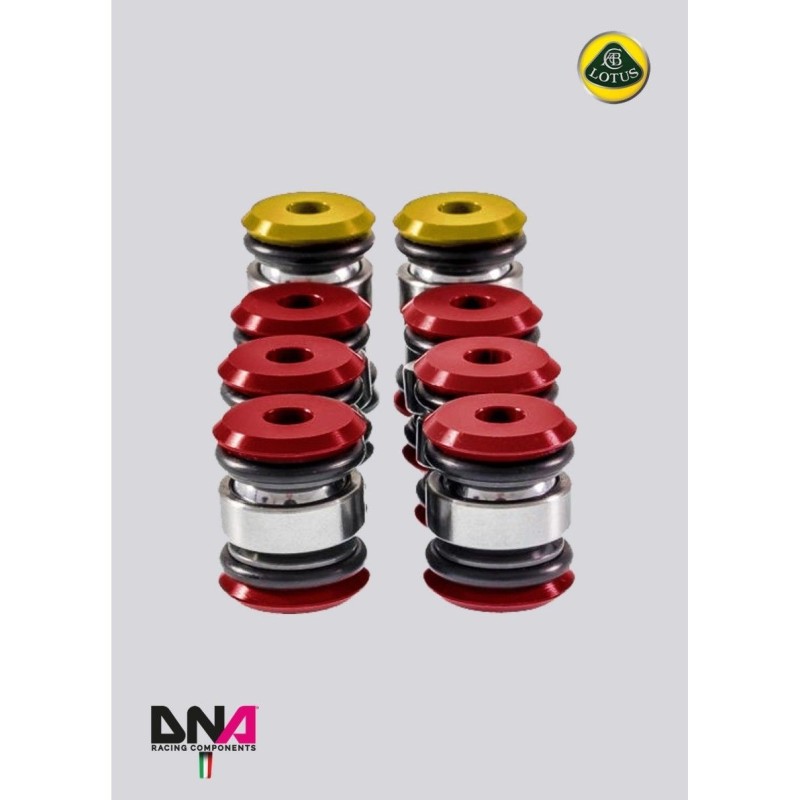 Lotus Elise/Exige L4-DNA Racing front upper and rear lower suspension arms partial kit Lotus Elise/Exige L4-DNA Racing front upper and rear lower suspension arms partial kit