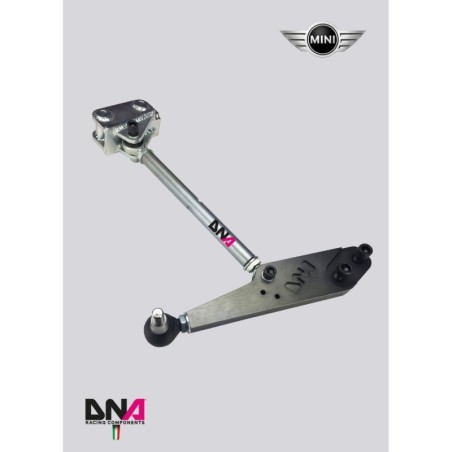 Mini Cooper R55-R56-R57-DNA Racing front adjustable suspension arms