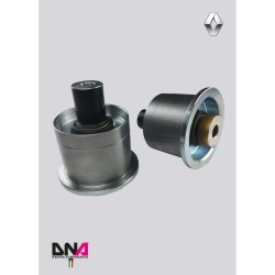 Renault Clio 4-DNA Racing rear axle uniball kit