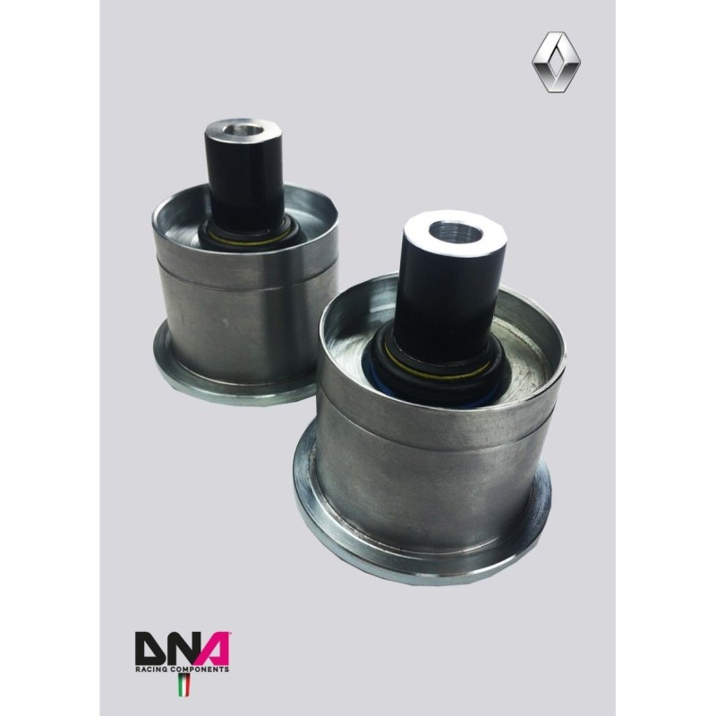 Renault Clio 4-DNA Racing rear axle uniball kit