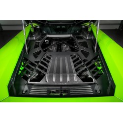 Eventuri Lamborghini Huracan Carbon Engine Cover