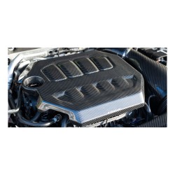 Eventuri VW Golf MK8 GTI/R Carbon Engine Cover