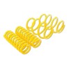 ST Suspension ST Sport Springs molle ribassate