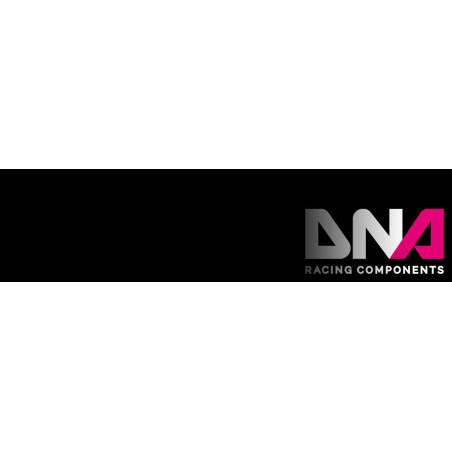 DNA Racing